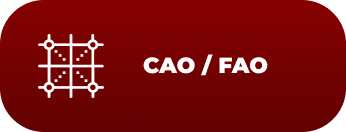 CAO/FAO vendee sumeg